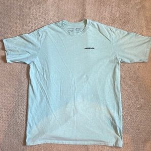 Patagonia Tee